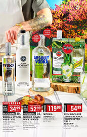 Biedronka gazetka | Alkohole Strona 21