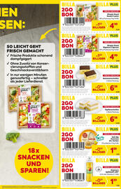 Billa Flugblatt Seite 3