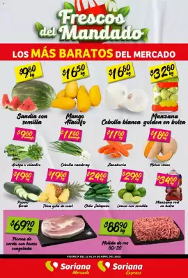 Catálogo Soriana Express (válido hasta 24-04)