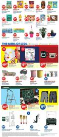 Lidl Weekly Ad week 17 Page 3