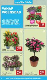 ALDI folder week 18 Pagina 32