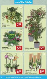 ALDI folder week 18 Pagina 33