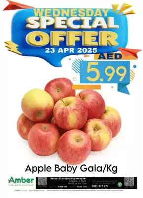 Amber catalogue (valid until 23-04)