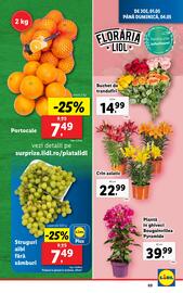 Catalog Lidl săptămâna 17 Pagină 69