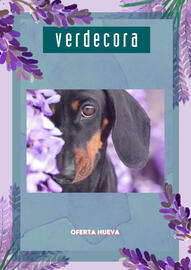 Folleto Verdecora Página 1