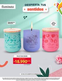 Catálogo Ara semana 19 Página 26