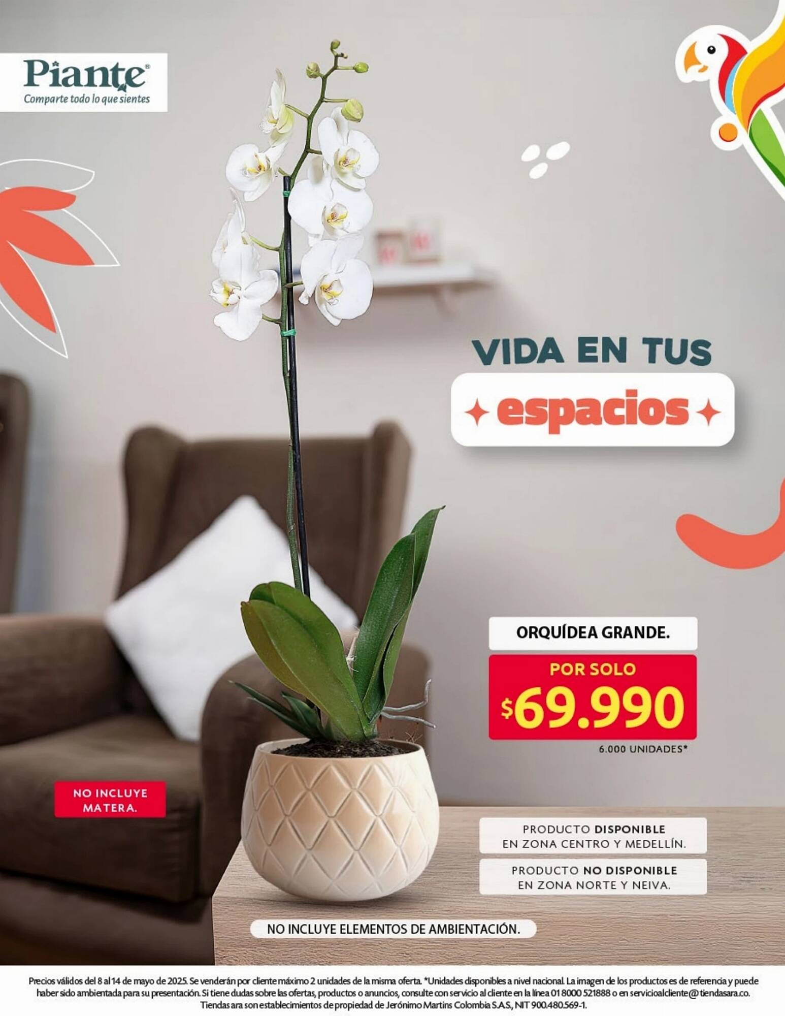 Catálogo Ara semana 19 Página 24