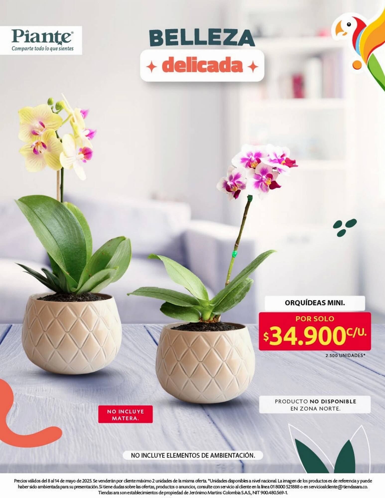 Catálogo Ara semana 19 Página 25