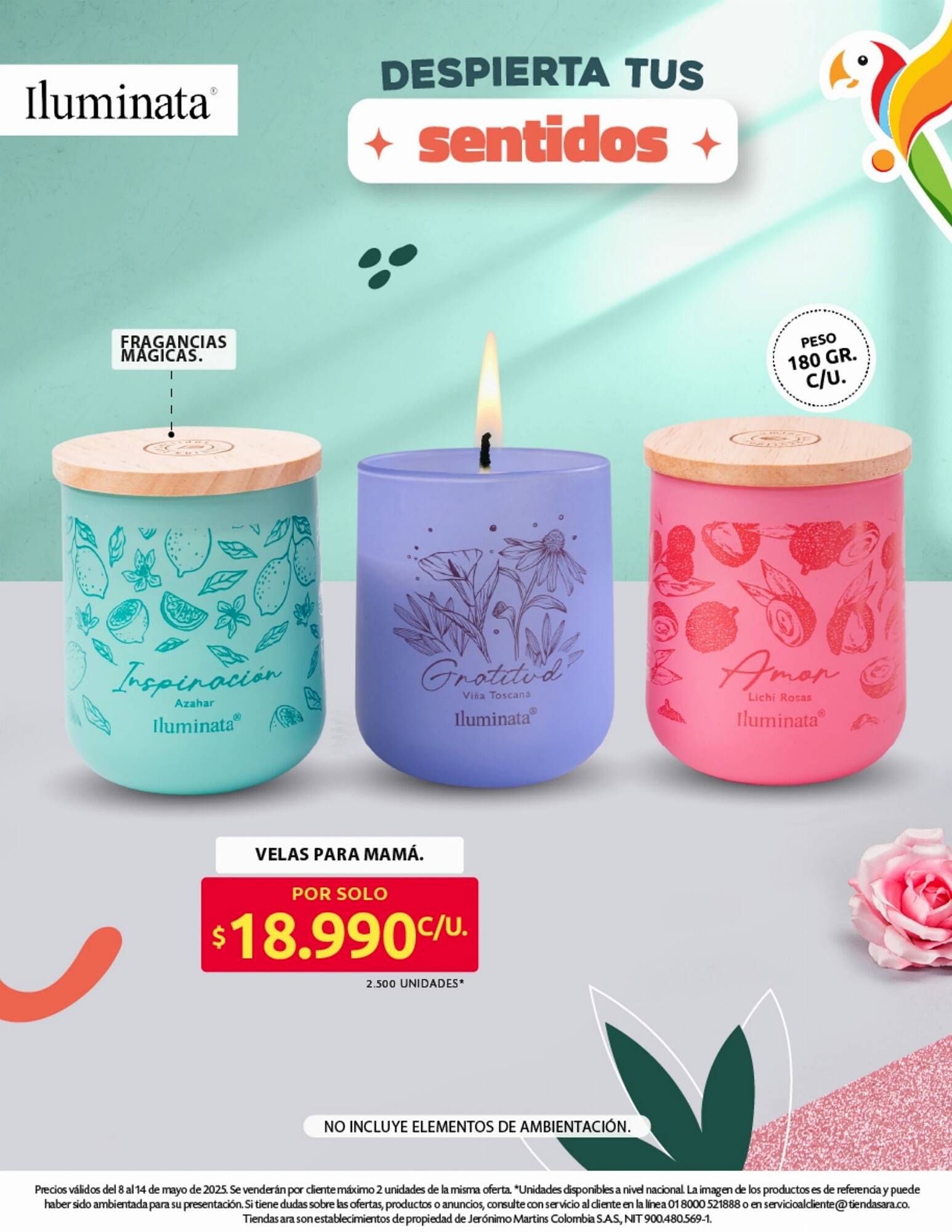 Catálogo Ara semana 19 Página 26