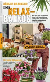 Hornbach Flugblatt Seite 14