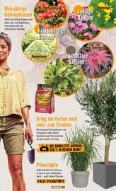 Hornbach Flugblatt Seite 5