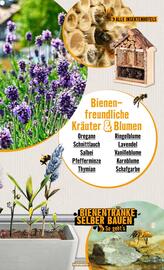 Hornbach Flugblatt Seite 7