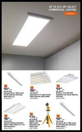 The Home Depot Weekly Ad week 17 Page 2