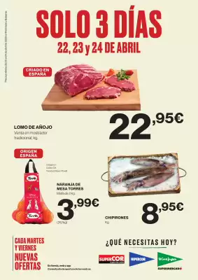 Folleto El Corte Inglés (válido hasta el 24-04)