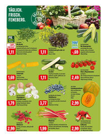 Feneberg Prospekt Seite 10