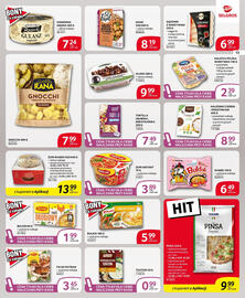 Selgros gazetka Strona 13