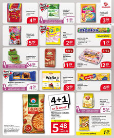 Selgros gazetka Strona 21