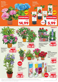 Kaufland gazetka tydzień 17 Strona 31