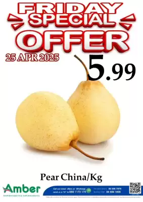 Amber catalogue (valid until 25-04)