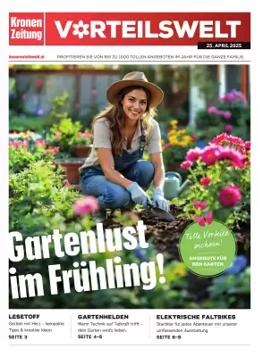flyer-cover