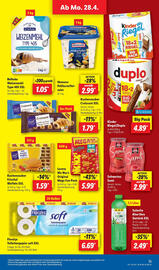Lidl Prospekt woche 18 Seite 19