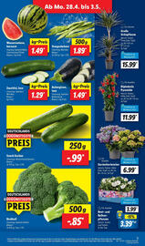 Lidl Prospekt woche 18 Seite 3