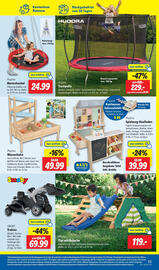 Lidl Prospekt woche 18 Seite 45