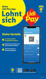 Lidl Prospekt woche 18 Seite 53