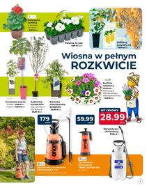 Mrówka gazetka Strona 5