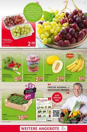 Selgros Prospekt woche 18 Seite 3