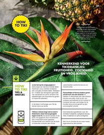 Albert Heijn folder Pagina 21