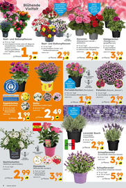 Globus Baumarkt Prospekt Seite 6
