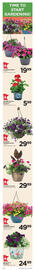 Cub Foods Weekly Ad week 18 Page 3