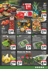 Edeka Prospekt Seite 9