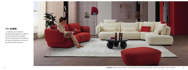 Catalogue Home Salons page 17