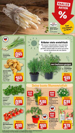 REWE Prospekt woche 18 Seite 7