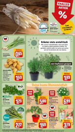REWE Prospekt woche 18 Seite 7
