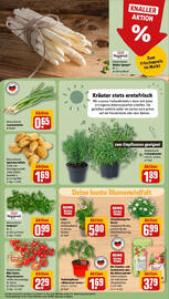 REWE Prospekt woche 18 Seite 7