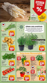 REWE Prospekt woche 18 Seite 5