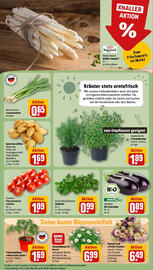 REWE Prospekt woche 18 Seite 7