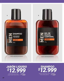Catálogo Carmel Página 578