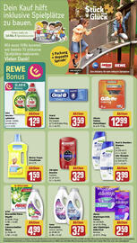 REWE Prospekt woche 18 Seite 17