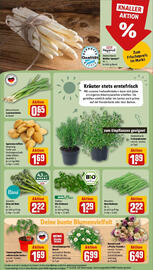 REWE Prospekt woche 18 Seite 7