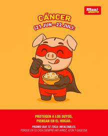 Catálogo MaxiAhorro semana 18 Página 4