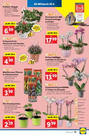 Lidl Flugblatt woche 18 Seite 27