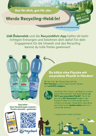 Lidl Flugblatt woche 18 Seite 47