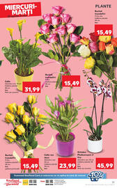 Catalog Kaufland Pagină 25
