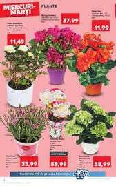 Catalog Kaufland Pagină 24