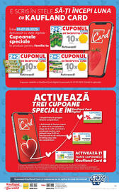 Catalog Kaufland Pagină 13