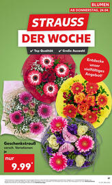 Kaufland Prospekt Seite 12